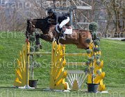 Alfonso Will Power TosTour2013- S5 2661 : Alfonso Antonio, Arezzo, Arezzo Equestrian Centre, Toscana Tour 2013, Will Rover, foto di Stefano Secchi ©